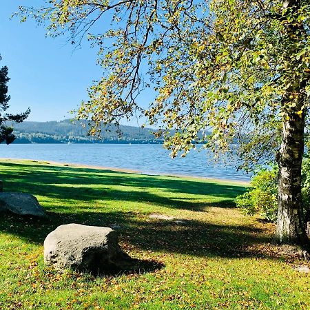 Riviera Lipno 502 Apartman 4Kk U Vody Lipno nad Vltavou Dış mekan fotoğraf